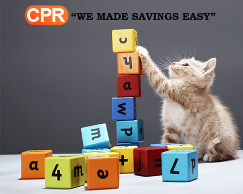 Cats Supplies - We Made Savings Easy