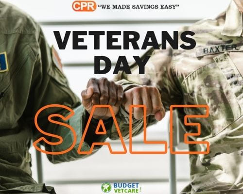 Get 12% Off On Veterans Day Sale